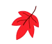leaf1
