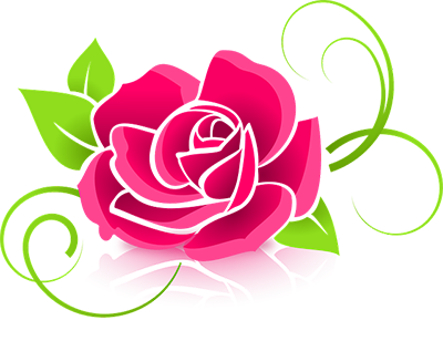rose illustration